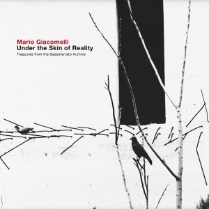 驚きの激安価格 Under the Skin of Reality - MARIO GIACOMELLI アート・デザイン・音楽