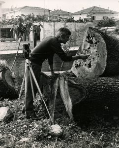 Mario Giacomelli mentre prepara il set fotografico per uno scatto della serie Motivo suggerito dal taglio dell'albero